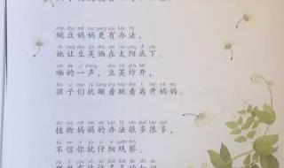 植物妈妈有办法 植物妈妈有办法